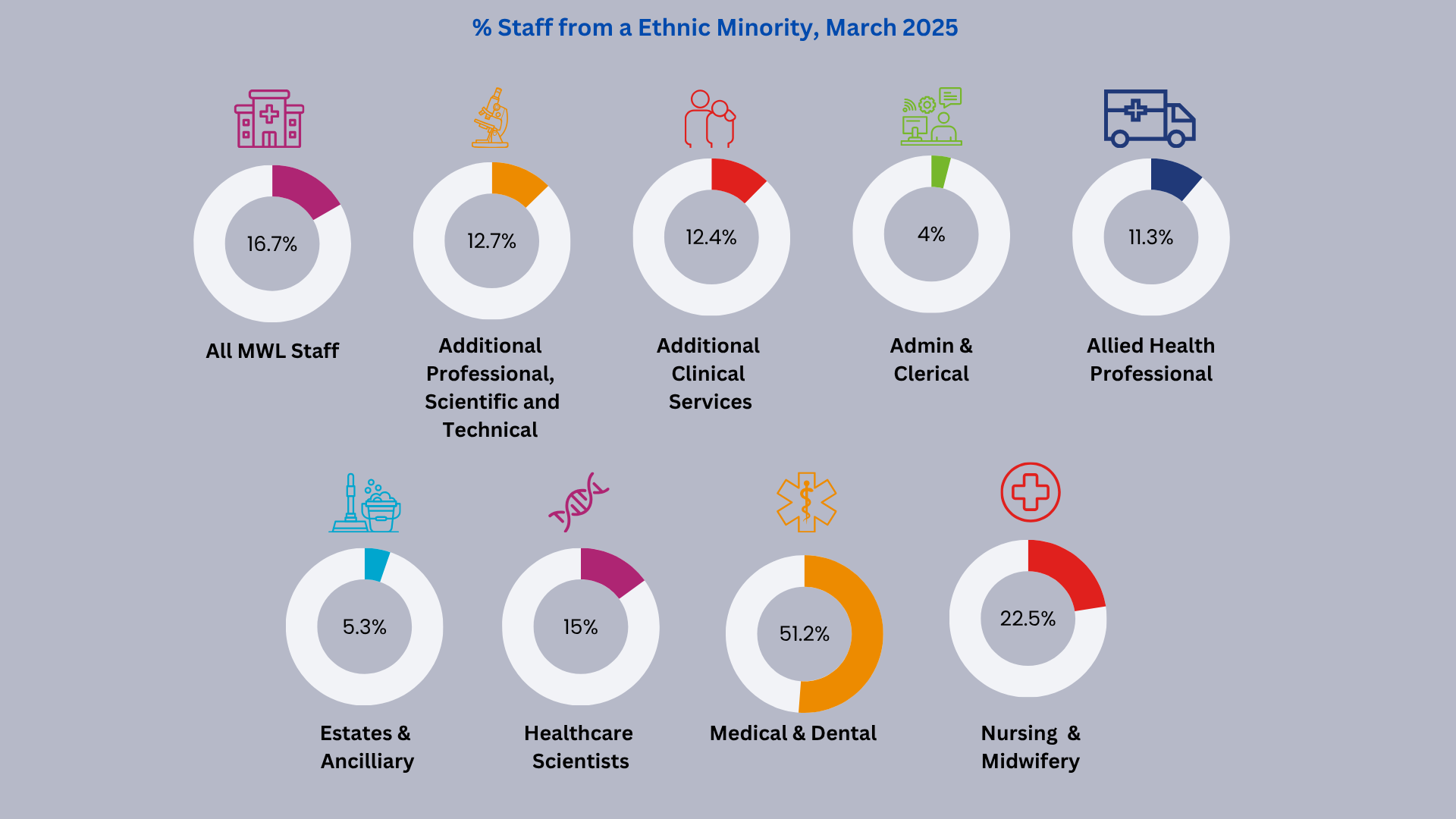 2025 Staff Ethnicity Infographic