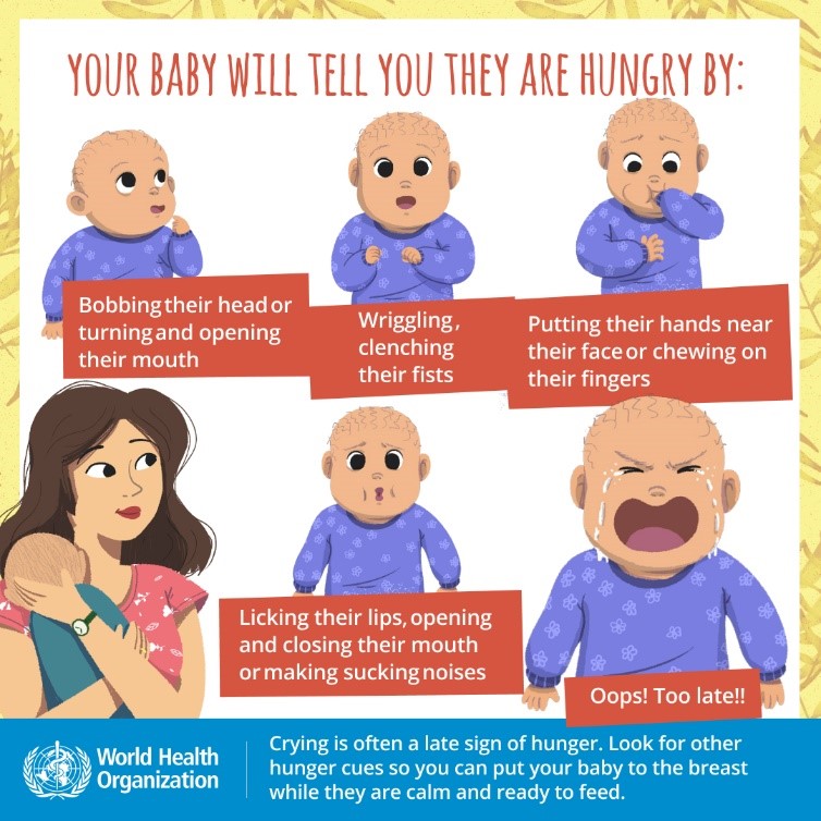 Signs baby is hungry banner